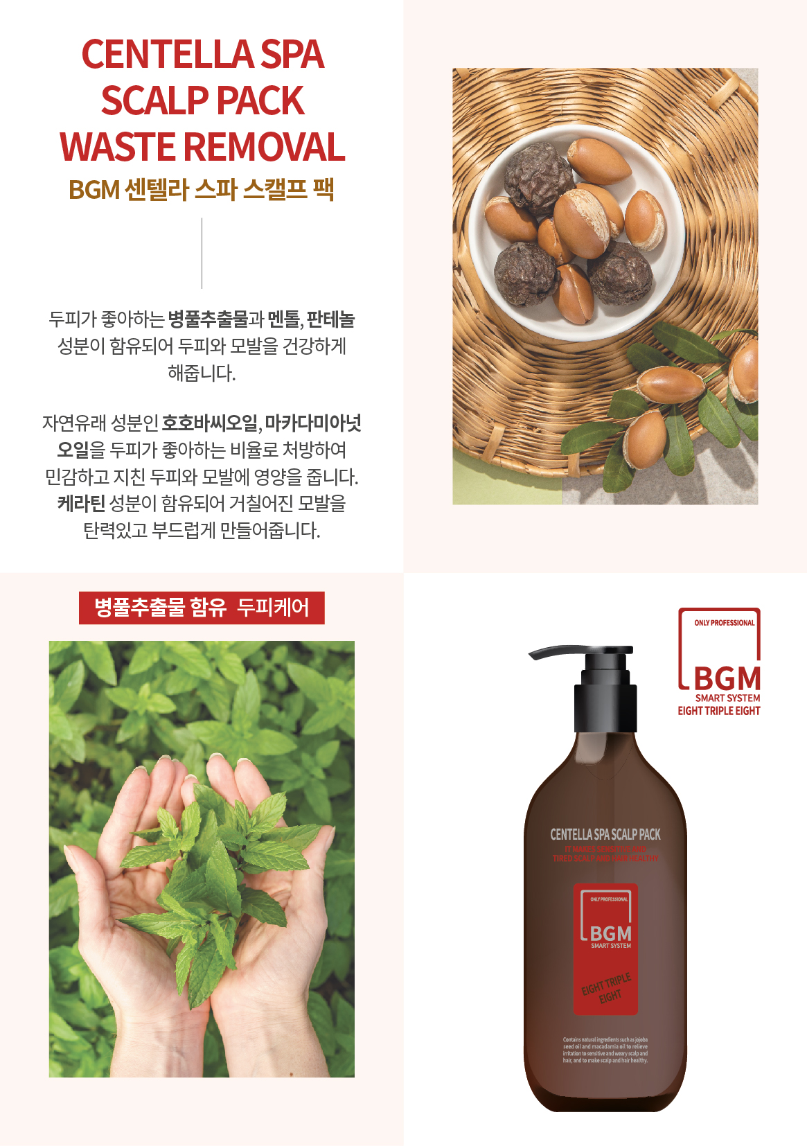 센텔라 스파 스캘프 팩