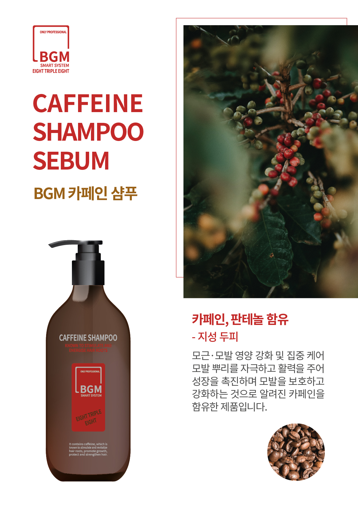 카페인 샴푸